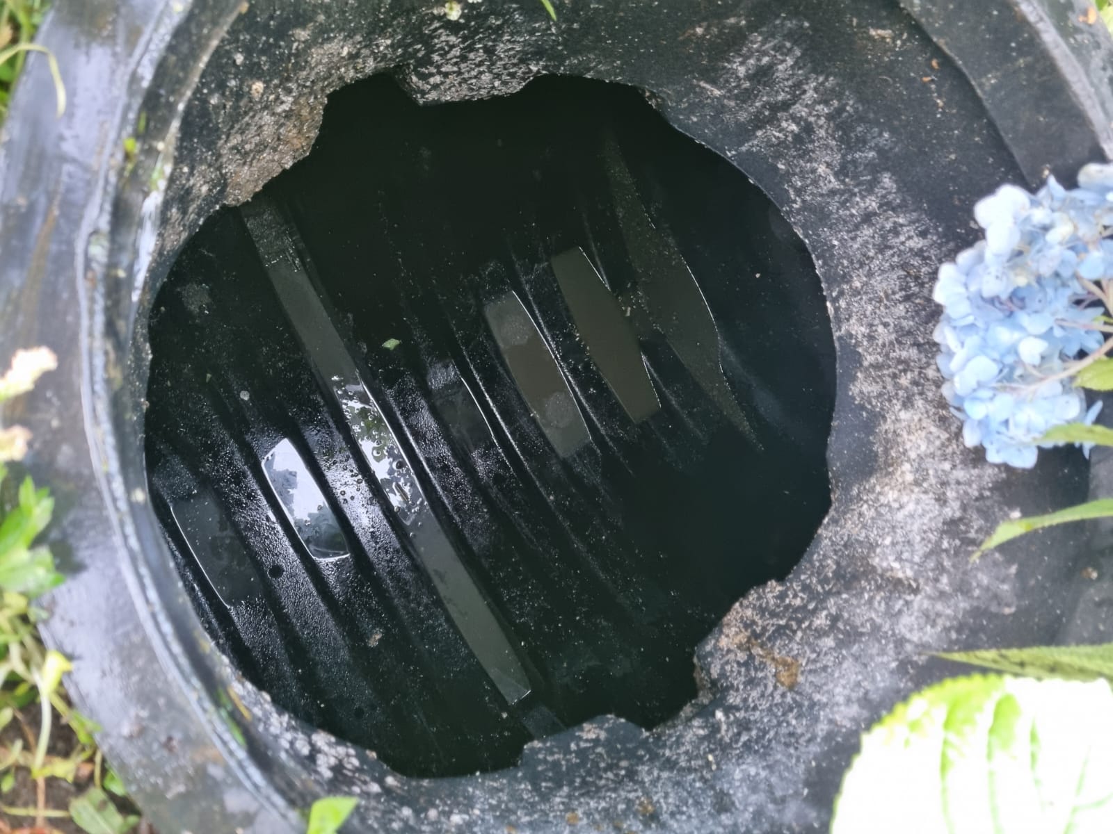 Cámara de inspección